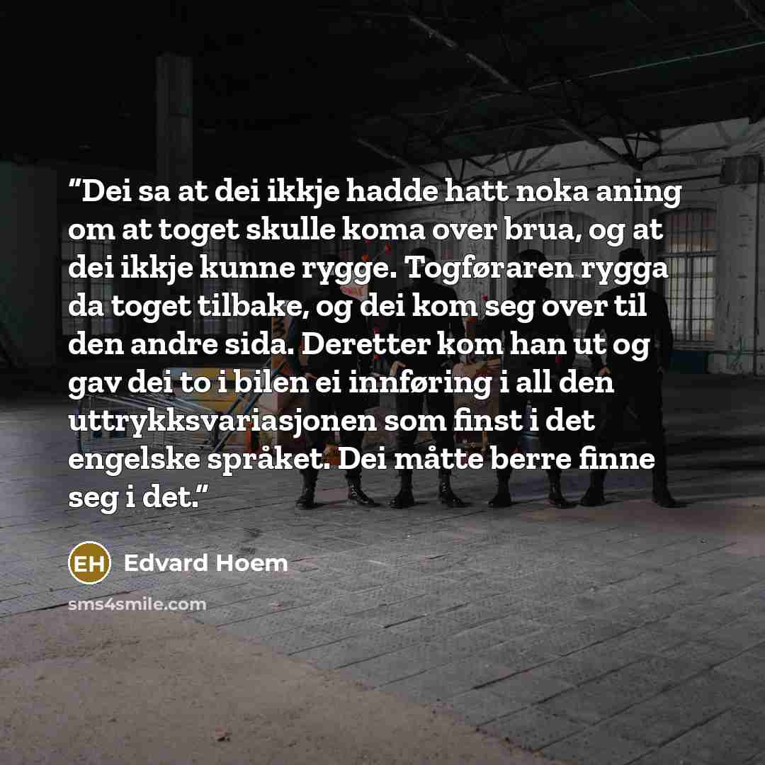 “Dei sa at dei ikkje hadde hatt noka aning om at toget skulle koma over brua, og at dei ikkje kunne rygge. Togføraren rygga da toget tilbake, og dei kom seg over til den andre sida. Deretter kom han ut og gav dei to i bilen ei innføring i all den uttrykksvariasjonen som finst i det engelske…” quote by Edvard Hoem