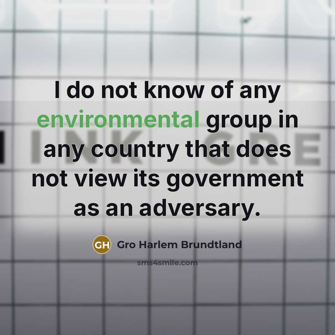 “I do not know of any environmental group in any…” quote by Gro Harlem Brundtland