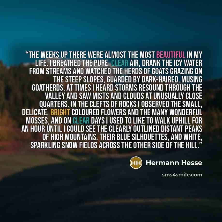“The weeks up there were almost the most beautiful in my life. I breathed the pure, clear air, drank the icy water from streams and watched the herds of goats grazing on the steep slopes, guarded by dark-haired, musing goatherds. At times I heard storms resound through the valley and saw mists and…” quote by Hermann Hesse