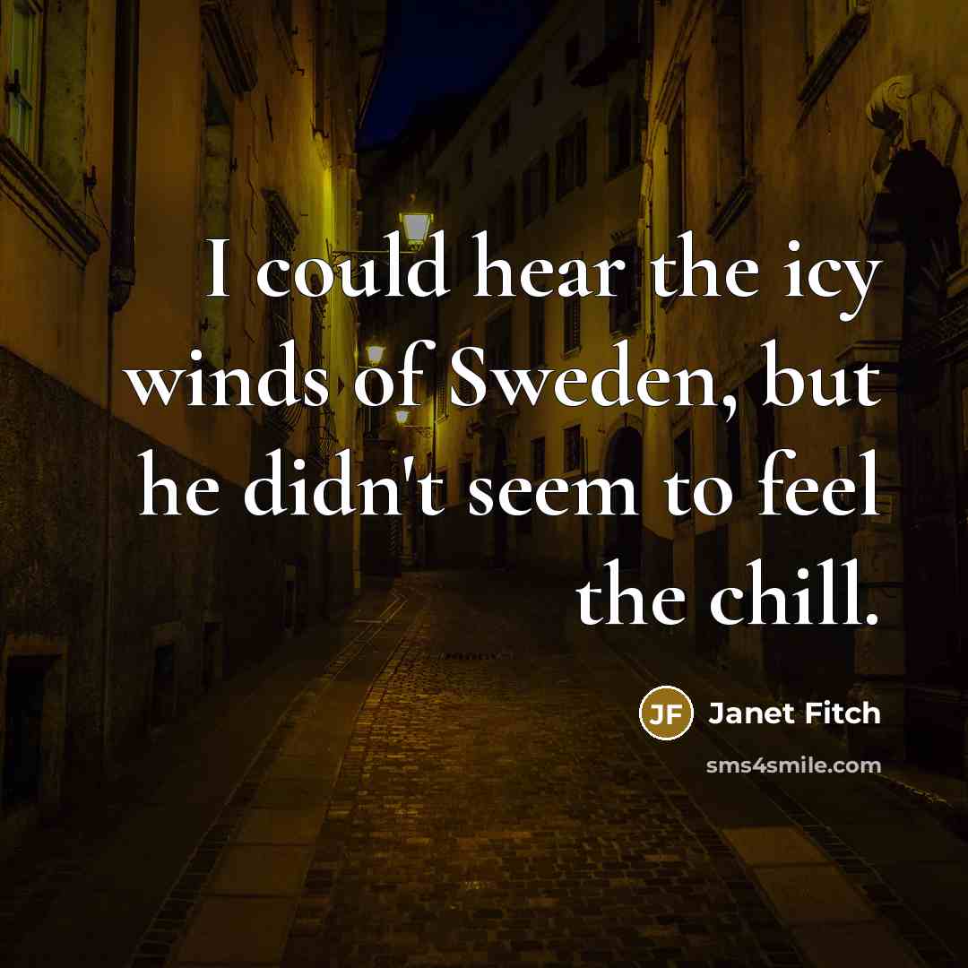 “I could hear the icy winds of Sweden, but he…” quote by Janet Fitch