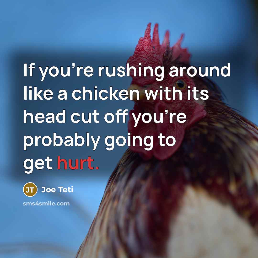 “If you're rushing around like a chicken with its head…” quote by Joe Teti