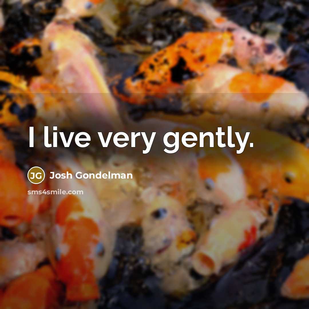 “I live very gently.…” quote by Josh Gondelman