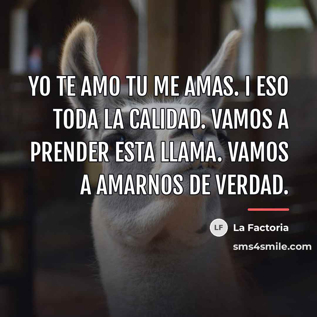 “Yo te amo Tu me amas. I eso toda la…” quote by La Factoria