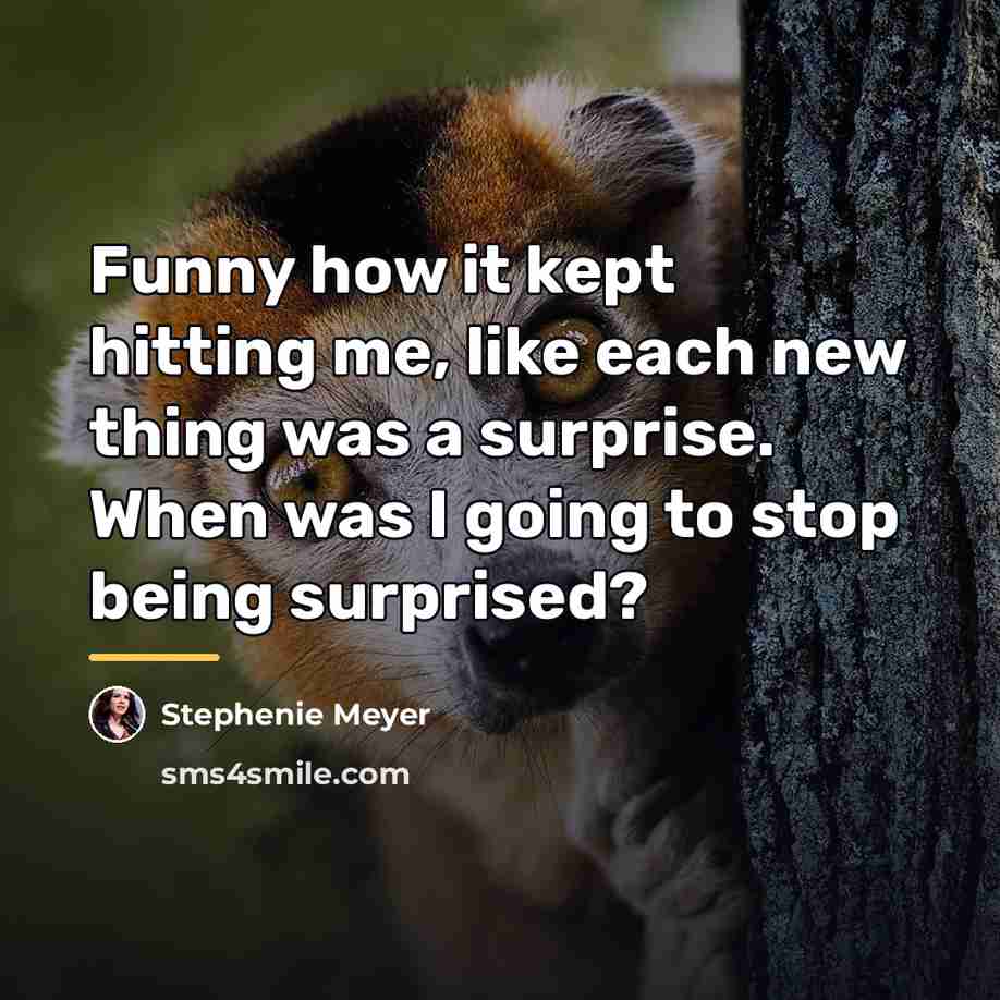 “Funny how it kept hitting me, like each new thing…” quote by Stephenie Meyer
