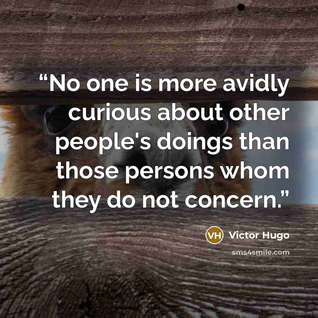 “No one is more avidly curious about other people's doings than those persons whom they do not concern.” quote by Victor Hugo