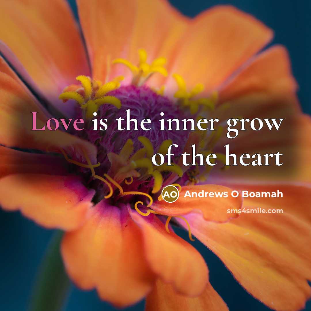 “Love is the inner grow of the heart…” quote by Andrews O Boamah