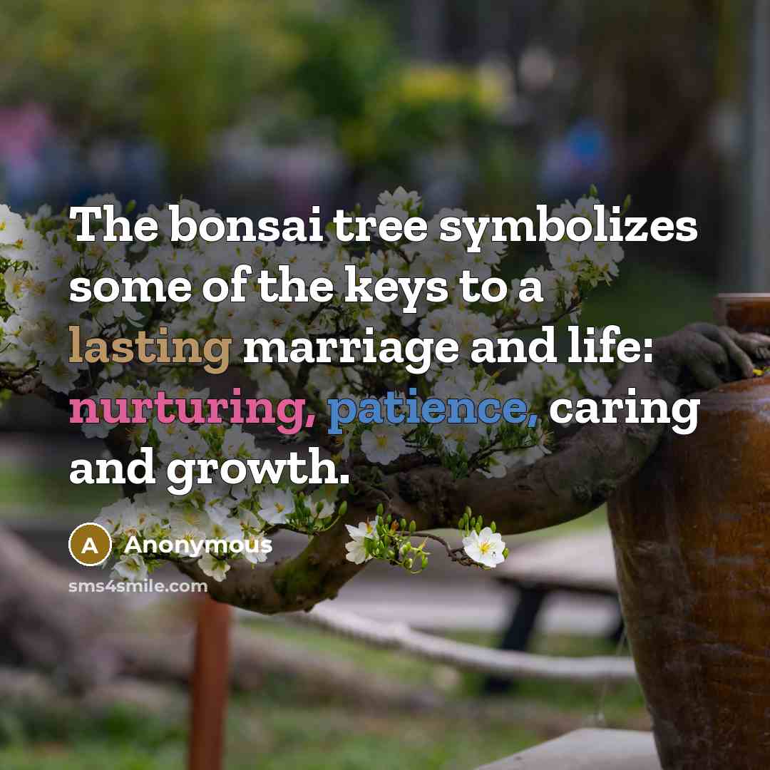 “The bonsai tree symbolizes some of the keys to a lasting marriage and life: nurturing, patience, caring and growth.” quote by Anonymous