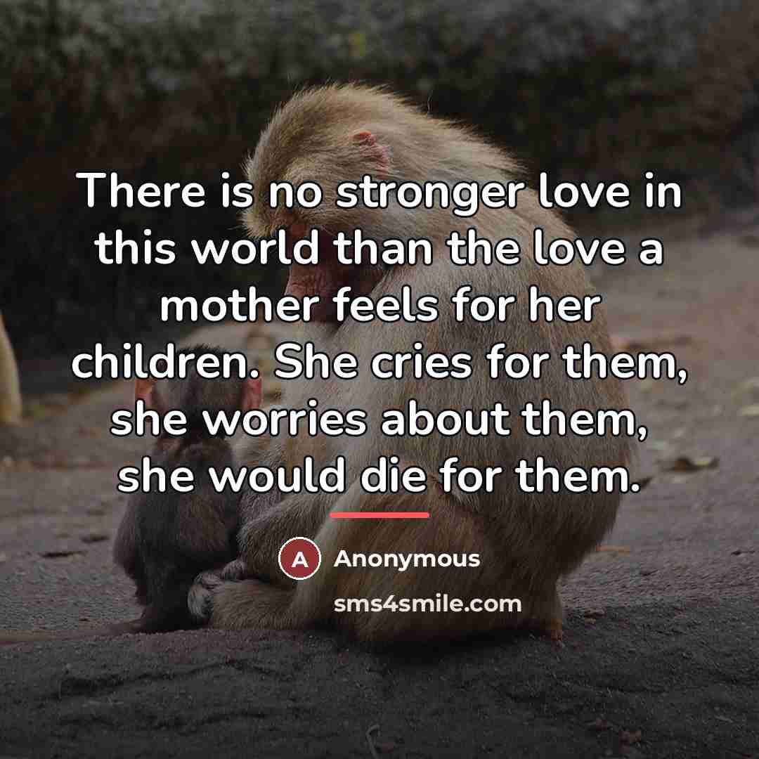 “There is no stronger love in this world than the…” quote by Anonymous