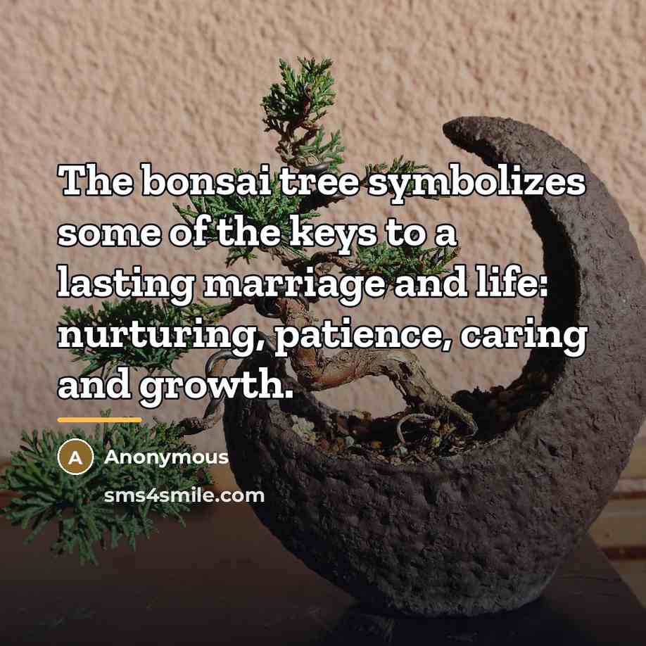 “The bonsai tree symbolizes some of the keys to a…” quote by Anonymous