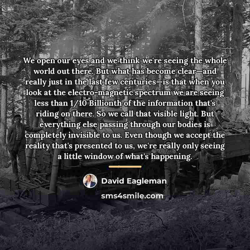 “We open our eyes and we think we're seeing the…” quote by David Eagleman