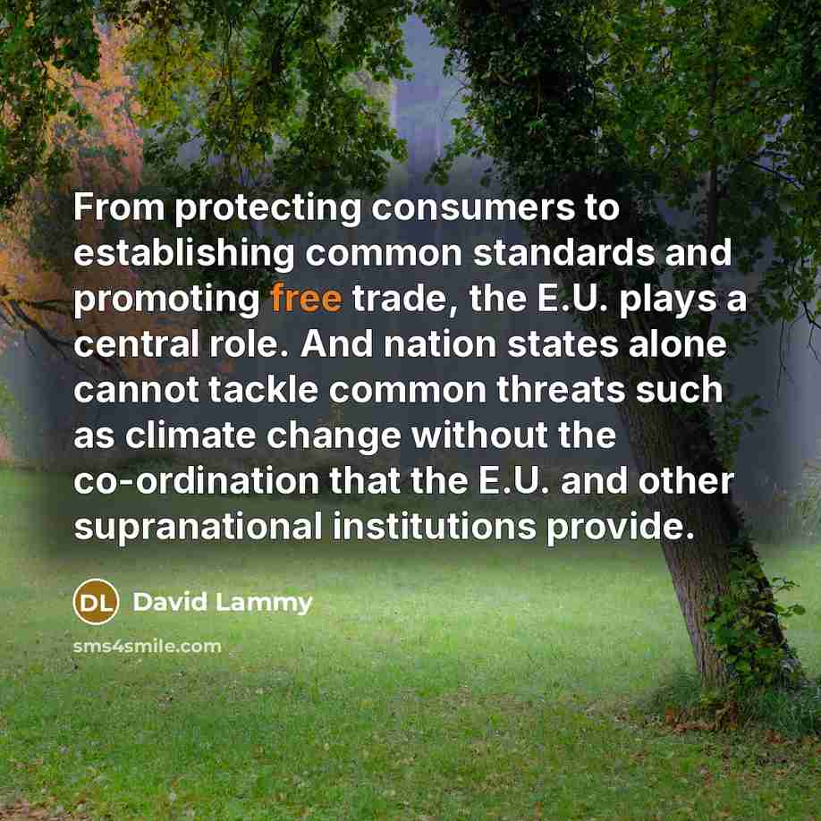 “From protecting consumers to establishing common standards and promoting free…” quote by David Lammy