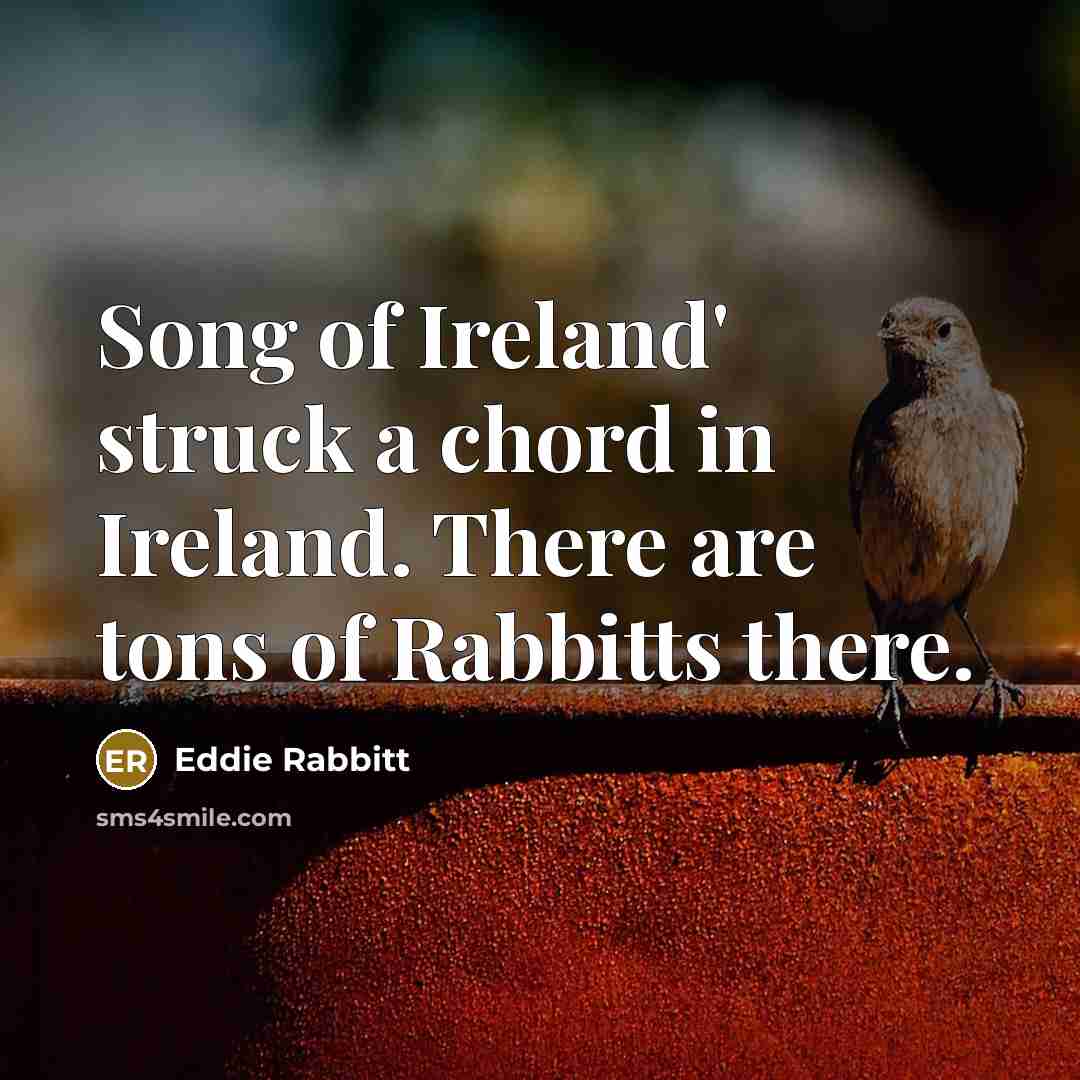 “Song of Ireland' struck a chord in Ireland. There are…” quote by Eddie Rabbitt