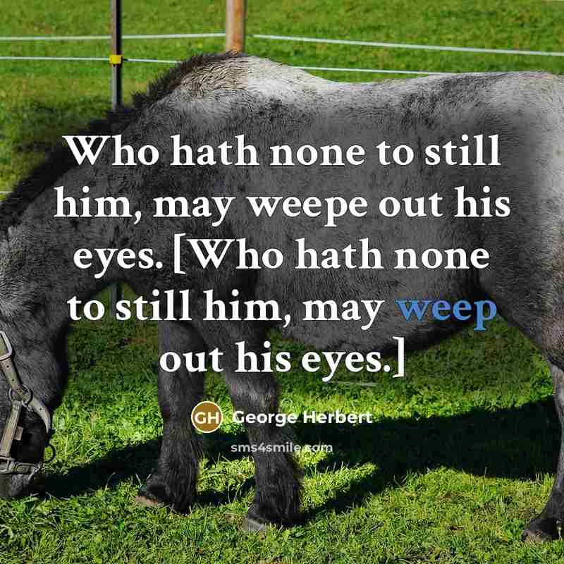 “Who hath none to still him, may weepe out his…” quote by George Herbert