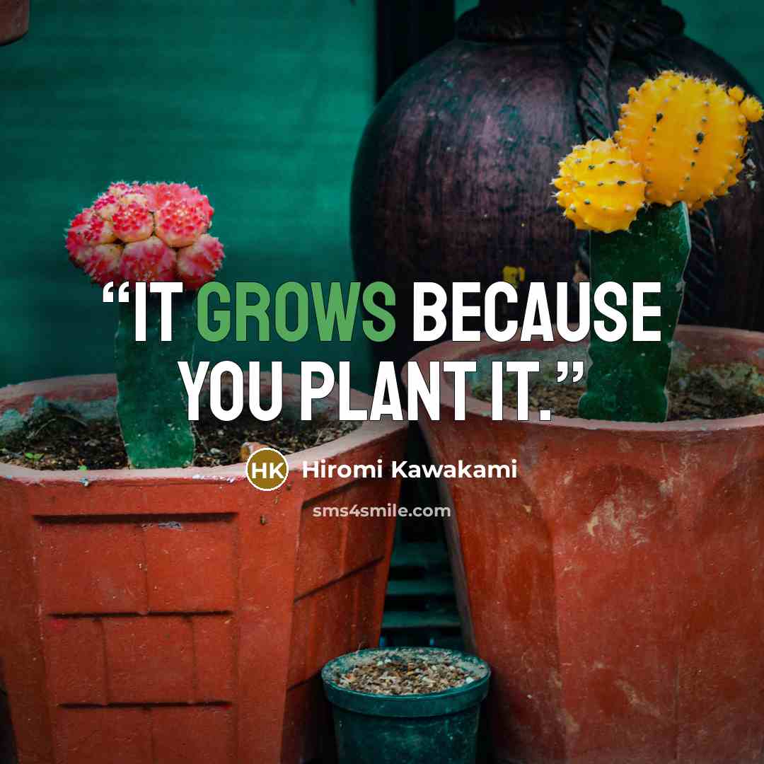 “It grows because you plant it.” quote by Hiromi Kawakami