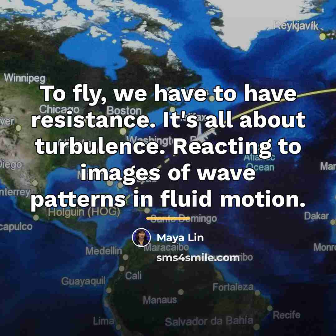 “To fly, we have to have resistance. It's all about…” quote by Maya Lin
