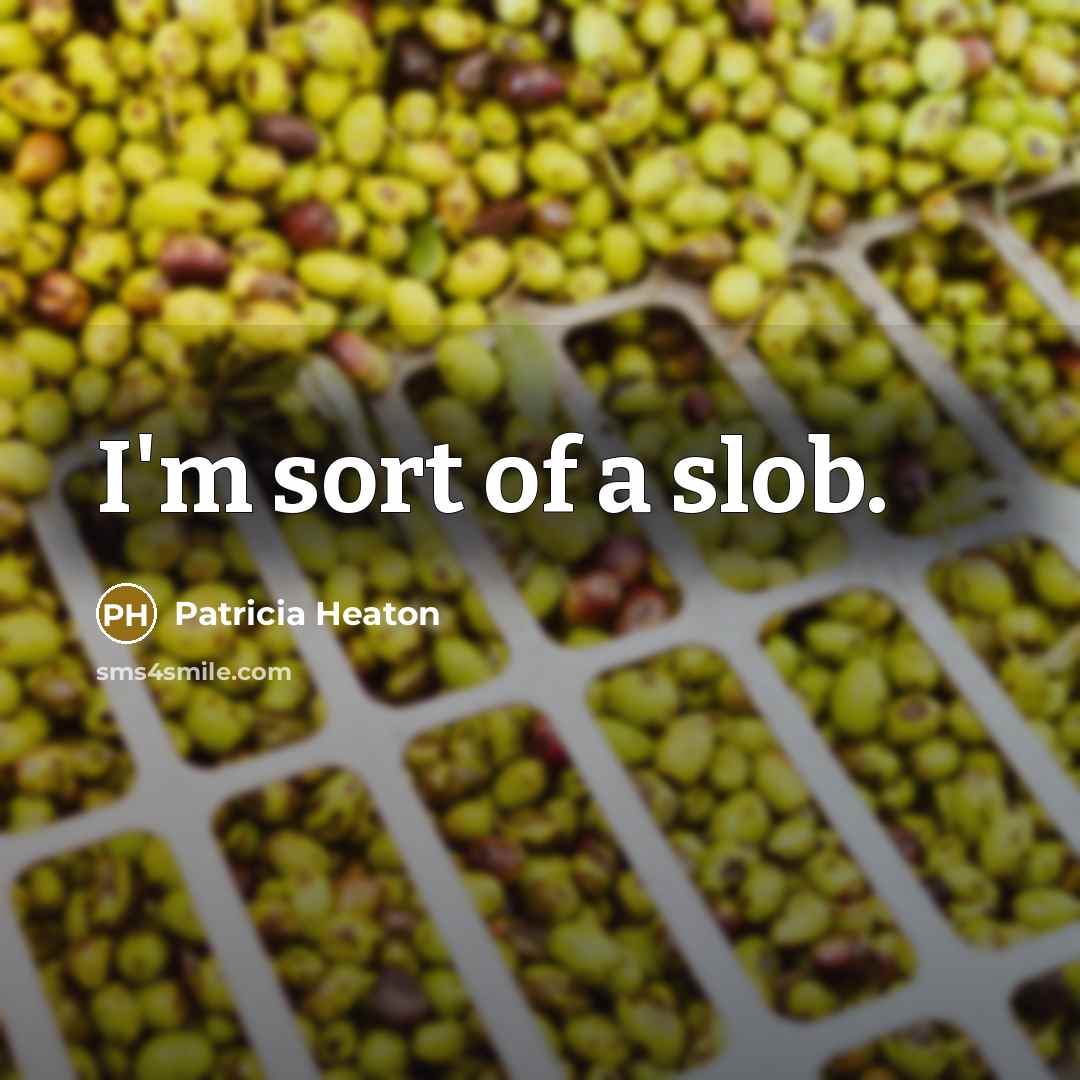 “I'm sort of a slob.…” quote by Patricia Heaton