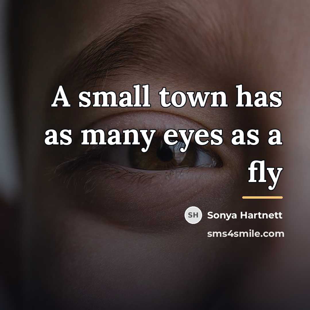 “A small town has as many eyes as a fly…” quote by Sonya Hartnett