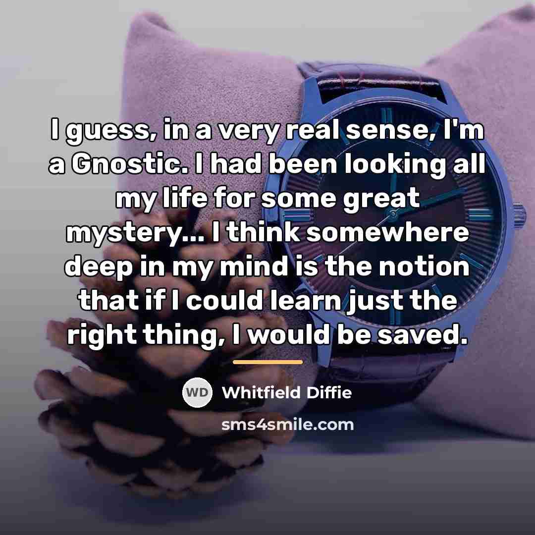 “I guess, in a very real sense, I'm a Gnostic.…” quote by Whitfield Diffie