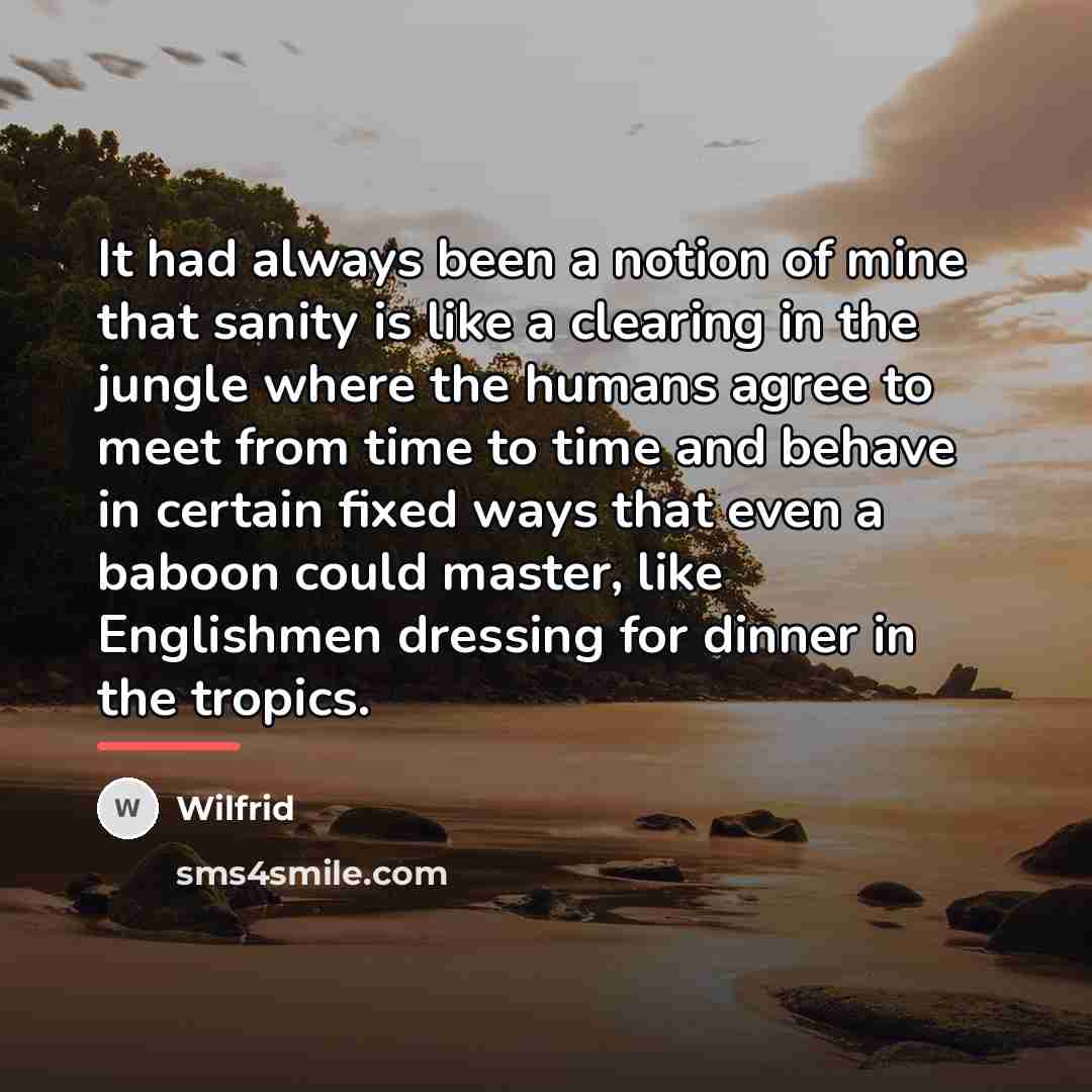 “It had always been a notion of mine that sanity…” quote by Anonymous
