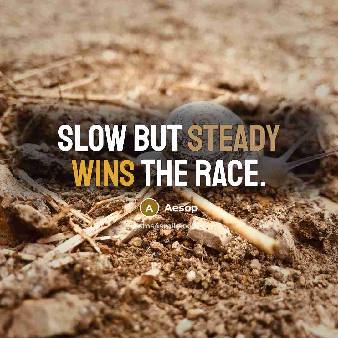 “Slow but steady wins the race.…” quote by Aesop