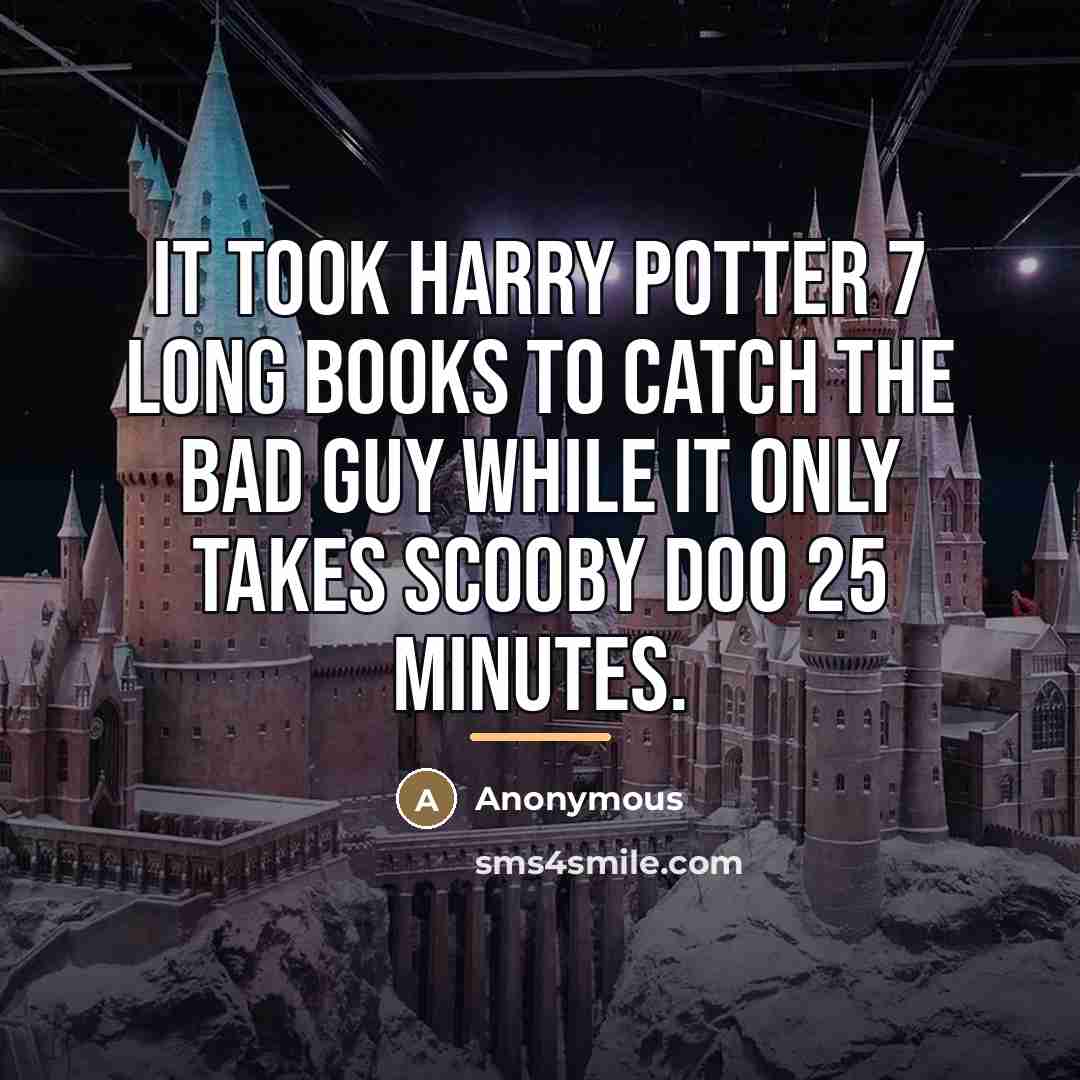 “It took Harry Potter 7 long books to catch the…” quote by Anonymous