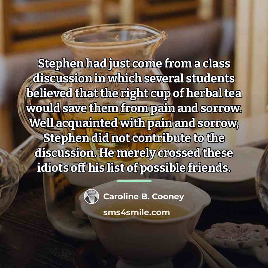“Stephen had just come from a class discussion in which…” quote by Caroline B. Cooney