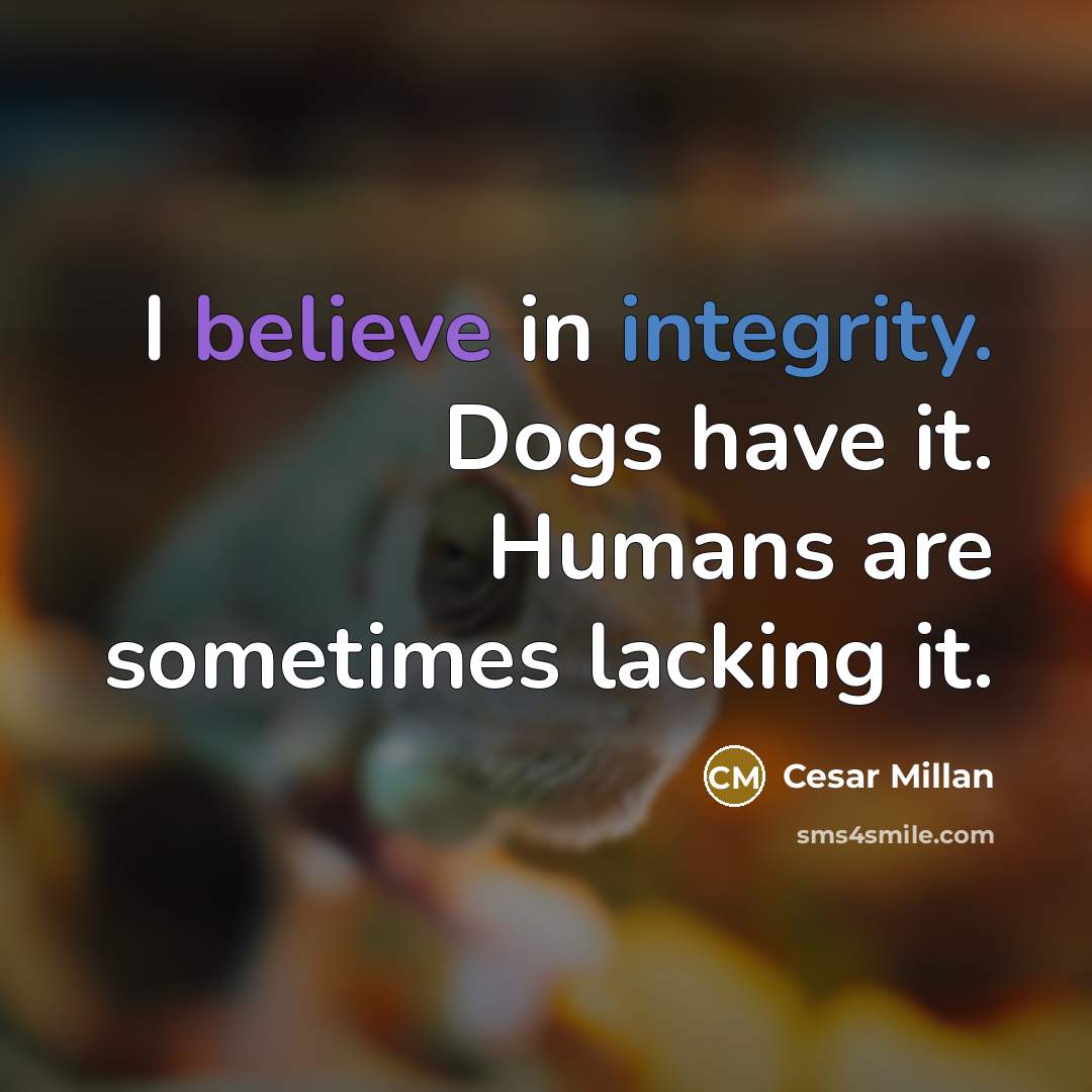 “I believe in integrity. Dogs have it. Humans are sometimes lacking it.” quote by Cesar Millan