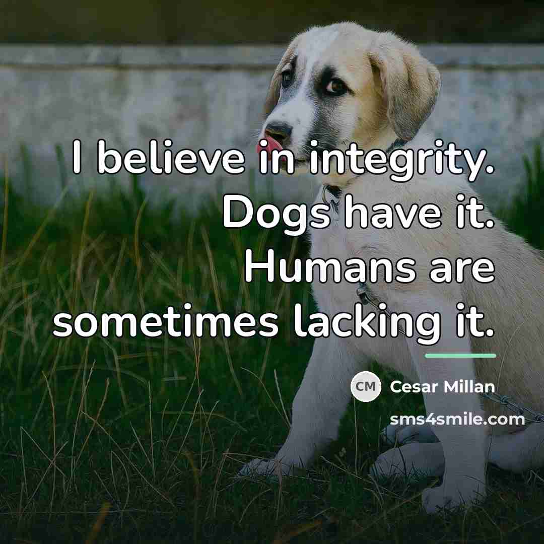 “I believe in integrity. Dogs have it. Humans are sometimes…” quote by Cesar Millan