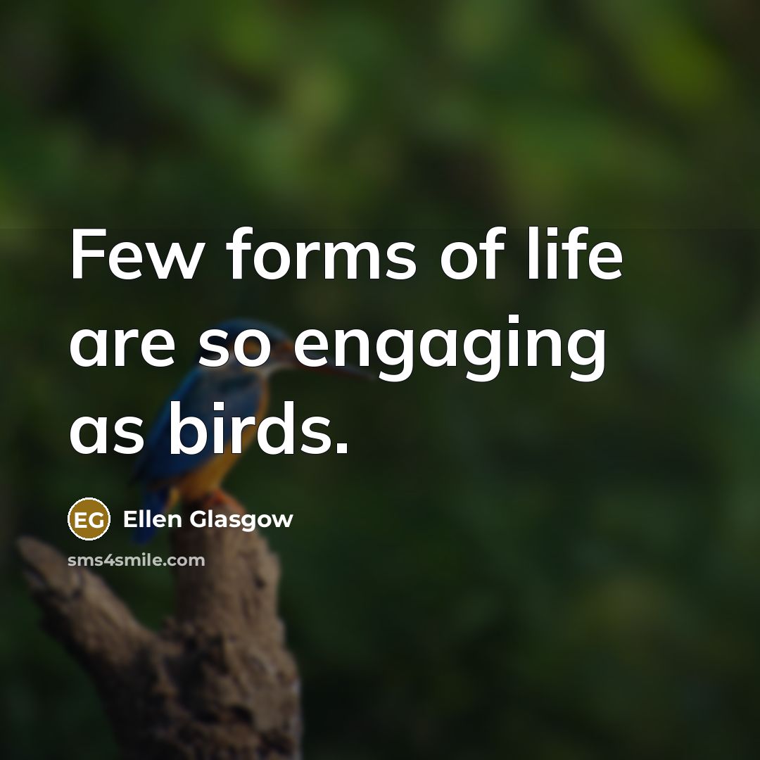 “Few forms of life are so engaging as birds.…” quote by Ellen Glasgow