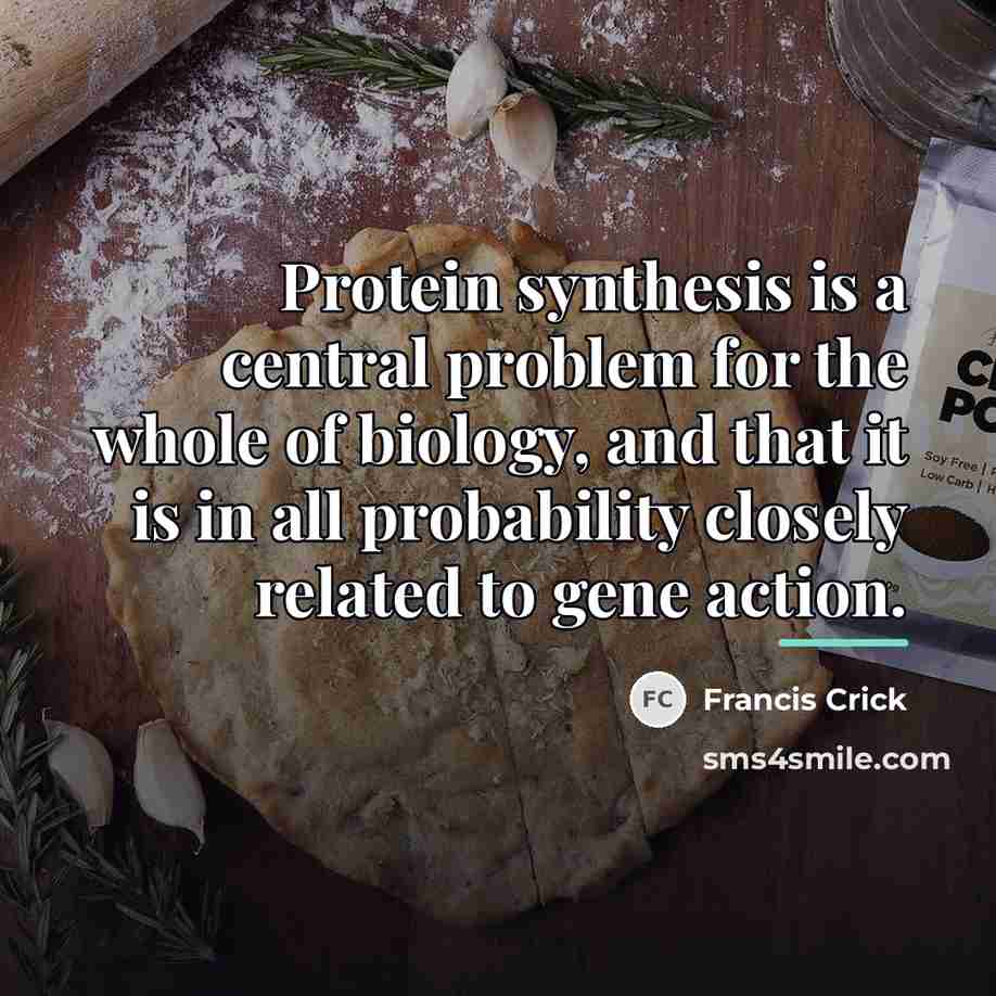 “Protein synthesis is a central problem for the whole of…” quote by Francis Crick