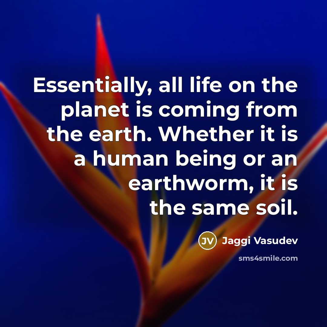 “Essentially, all life on the planet is coming from the…” quote by Jaggi Vasudev
