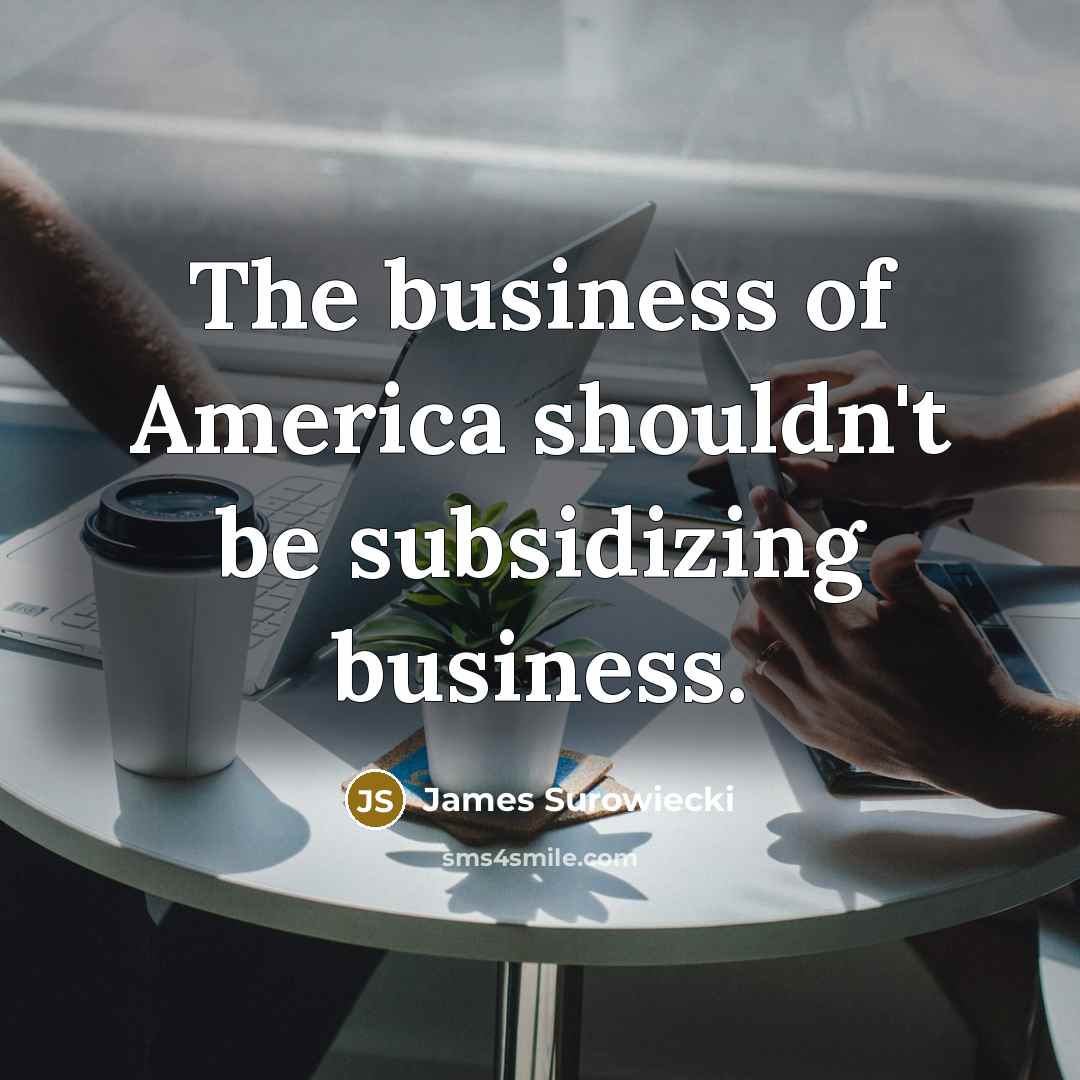 “The business of America shouldn't be subsidizing business.…” quote by James Surowiecki