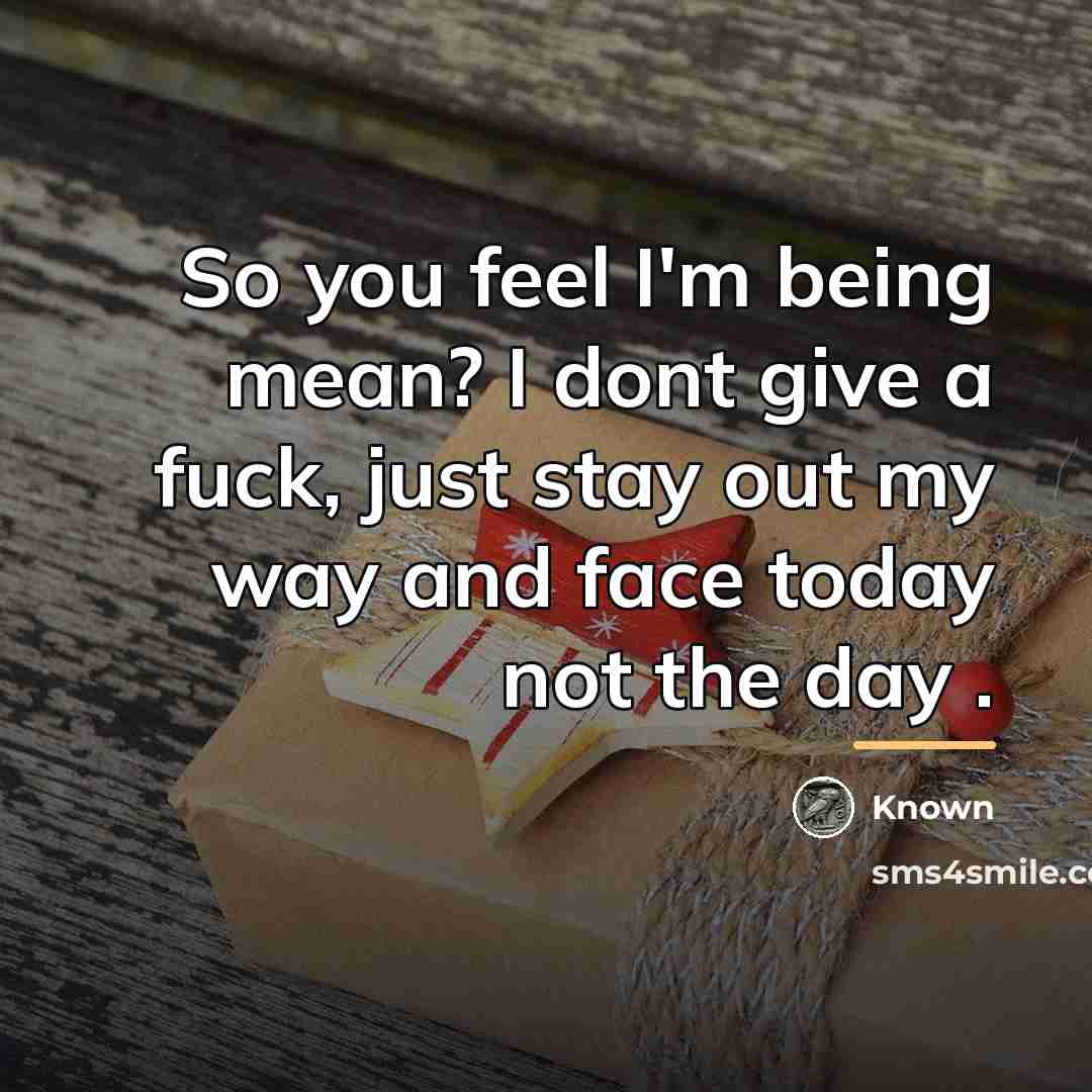 “So you feel I'm being mean? I dont give a…” quote by Known