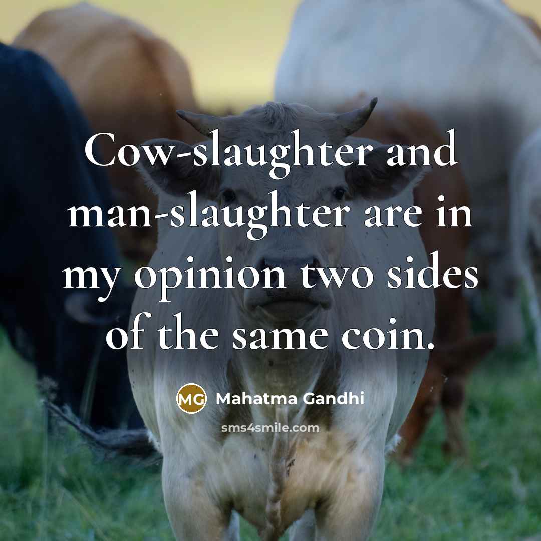 “Cow-slaughter and man-slaughter are in my opinion two sides of…” quote by Mahatma Gandhi