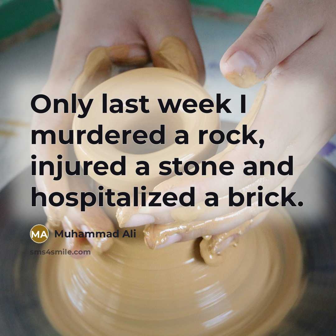 “Only last week I murdered a rock, injured a stone…” quote by Muhammad Ali