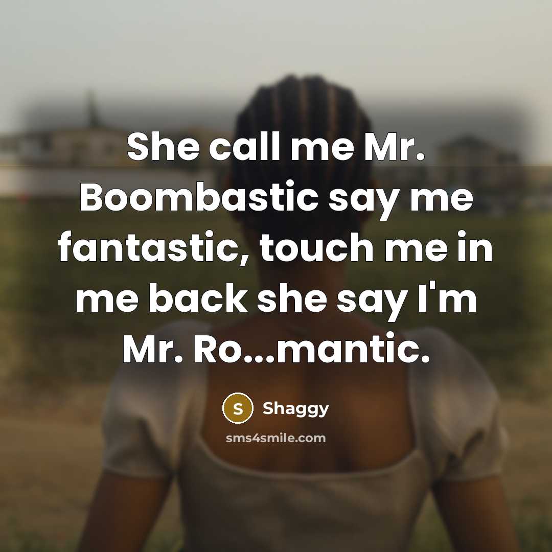 “She call me Mr. Boombastic say me fantastic, touch me…” quote by Shaggy