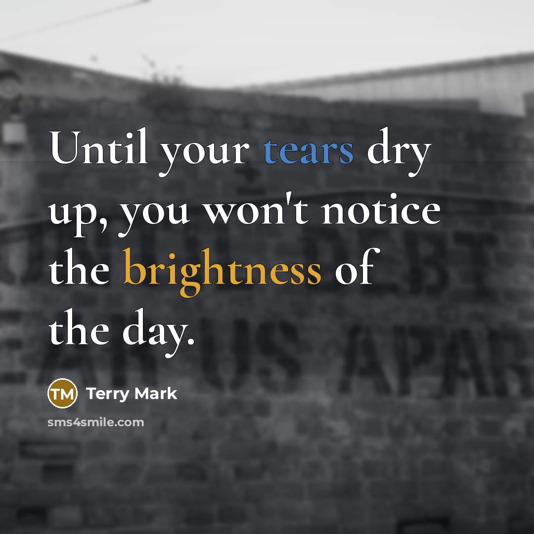 “Until your tears dry up, you won't notice the brightness of the day.” quote by Terry Mark