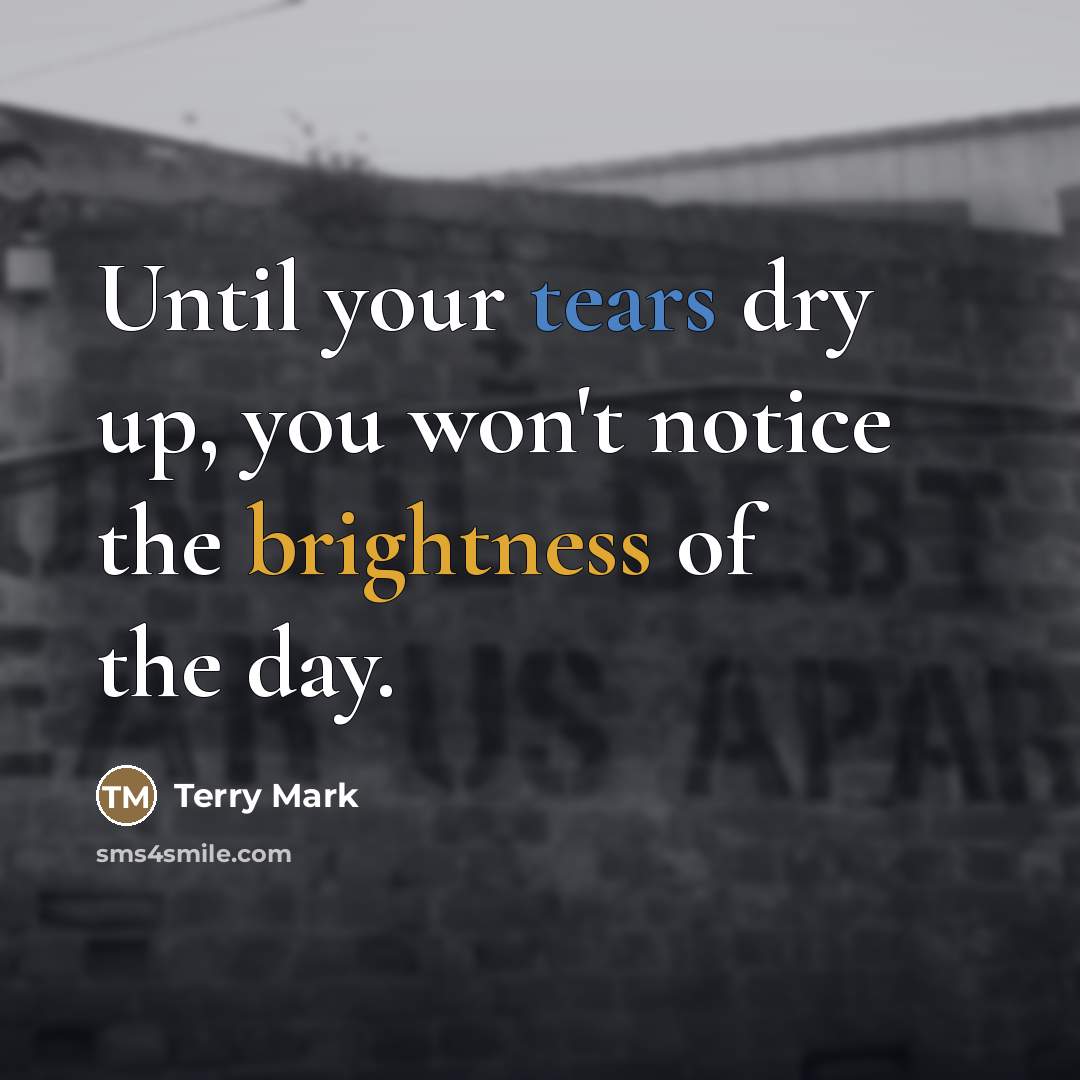 “Until your tears dry up, you won't notice the brightness…” quote by Terry Mark
