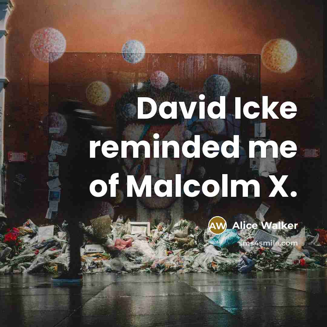 “David Icke reminded me of Malcolm X.…” quote by Alice Walker