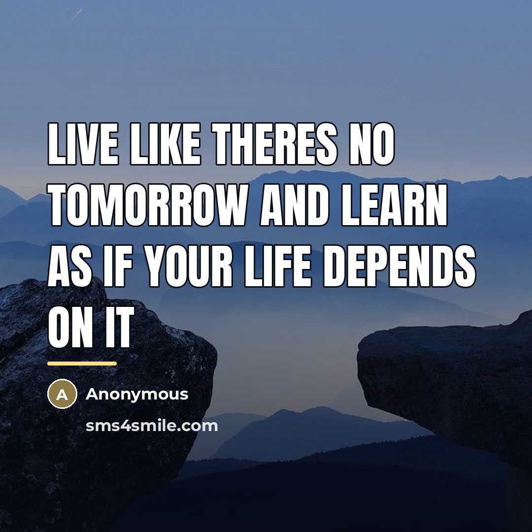 “Live like theres no tomorrow and learn as if your…” quote by Anonymous