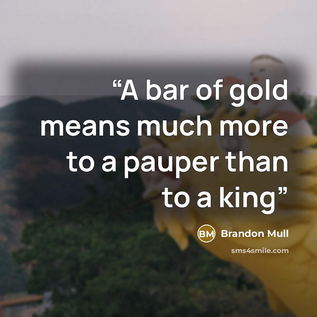 “A bar of gold means much more to a pauper than to a king” quote by Brandon Mull