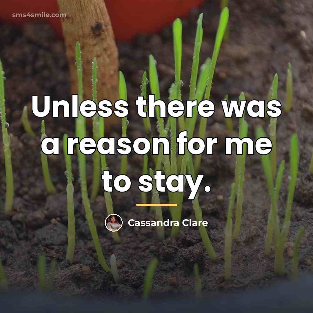 “Unless there was a reason for me to stay.…” quote by Cassandra Clare