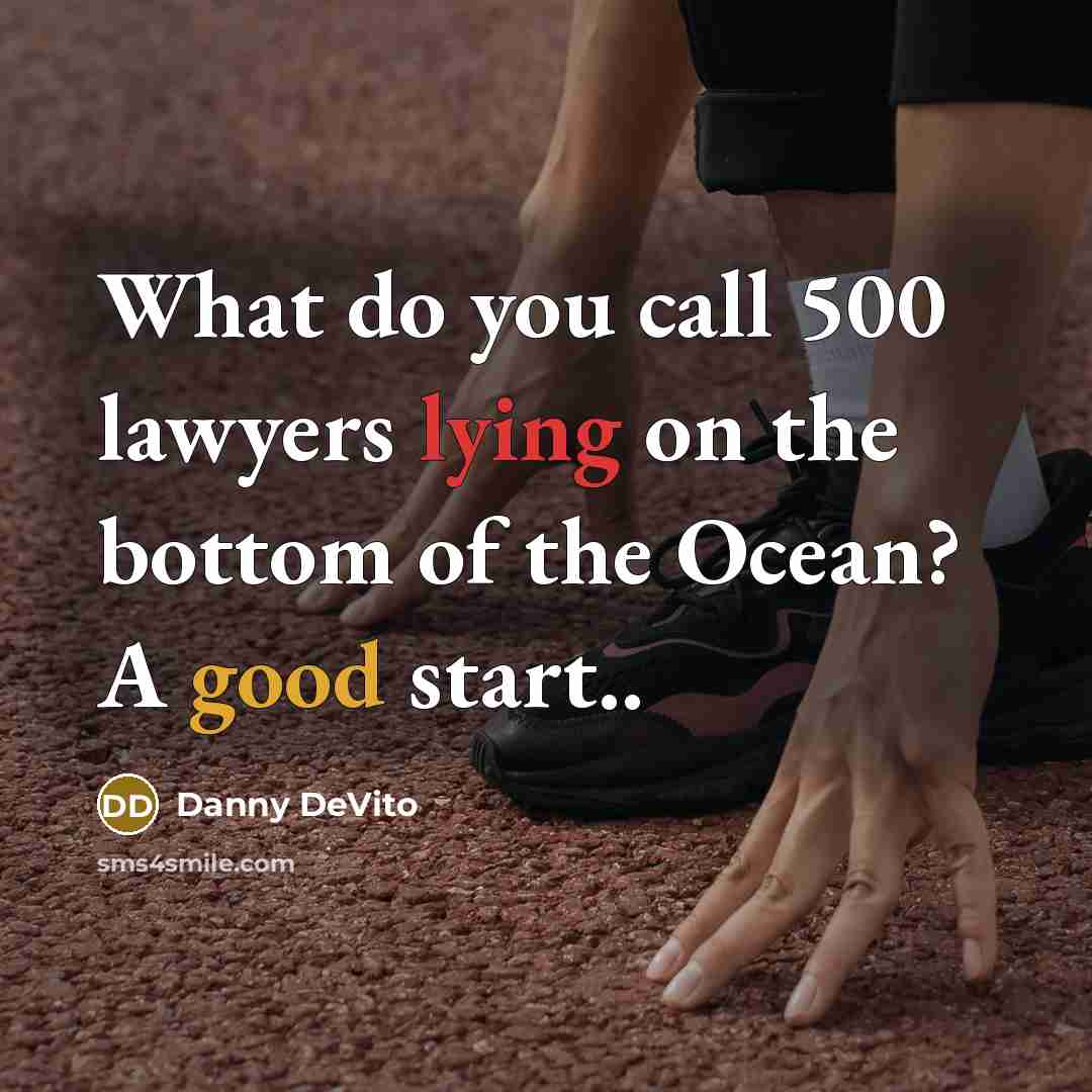 “What do you call 500 lawyers lying on the bottom…” quote by Danny DeVito