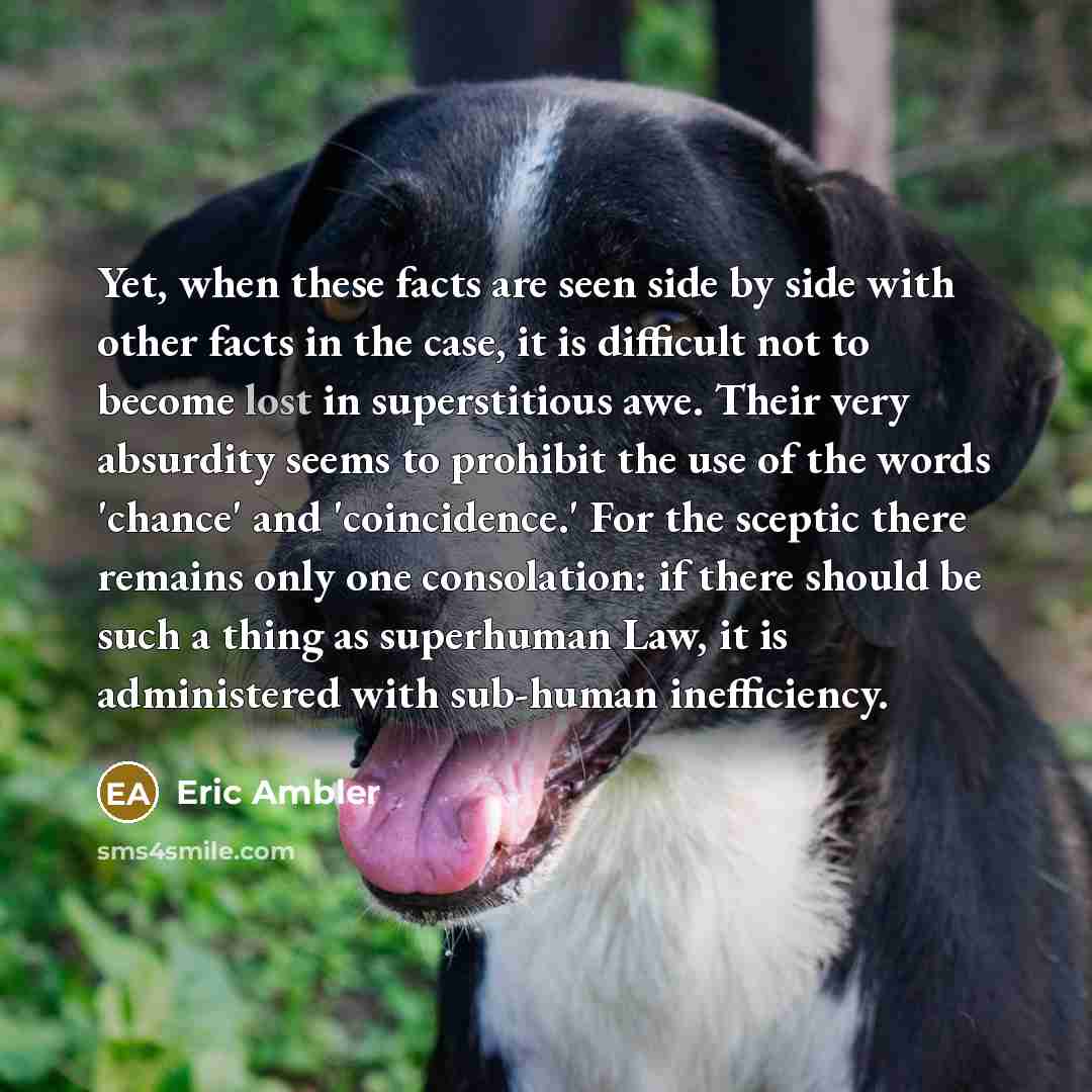 “Yet, when these facts are seen side by side with…” quote by Eric Ambler