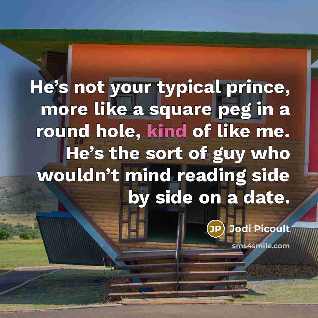 “He’s not your typical prince, more like a square peg…” quote by Jodi Picoult