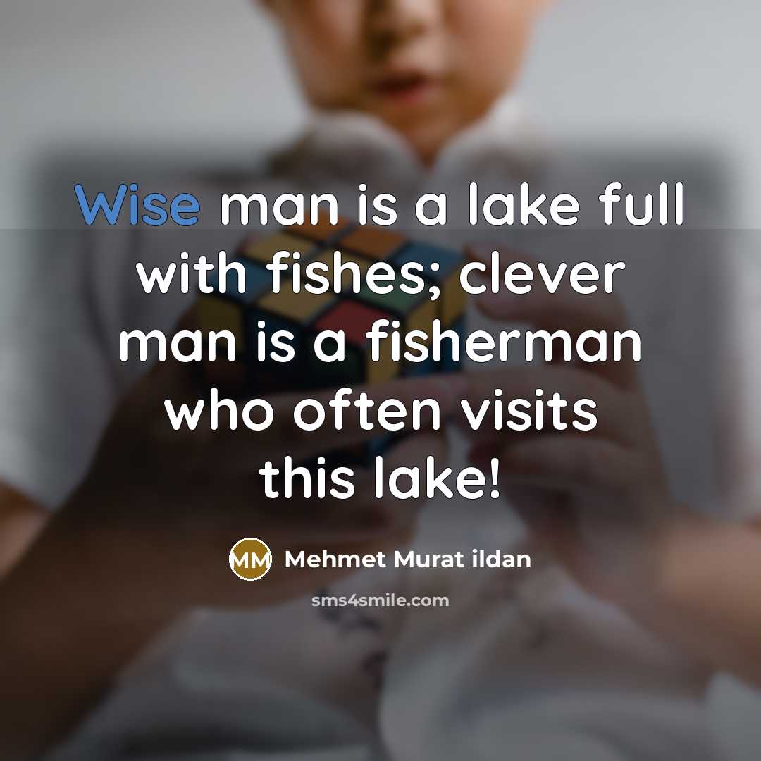 “Wise man is a lake full with fishes; clever man…” quote by Mehmet Murat Ildan