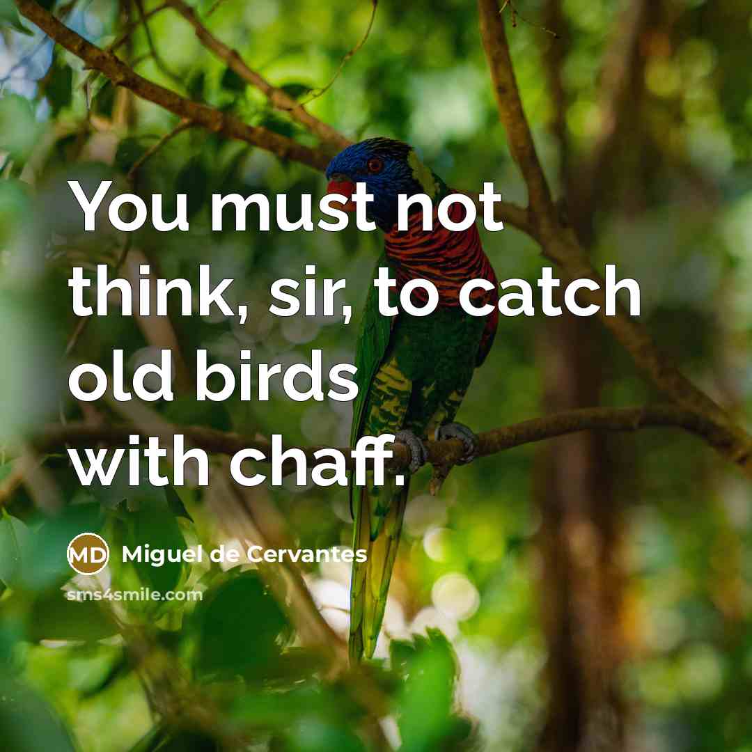 “You must not think, sir, to catch old birds with…” quote by Miguel de Cervantes
