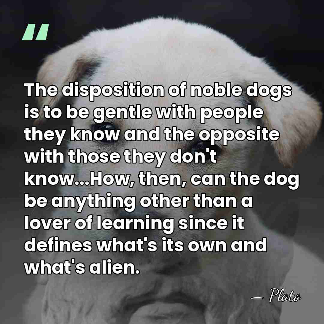 The disposition of noble dogs is to be gentle with people they&hellip; - Plato
