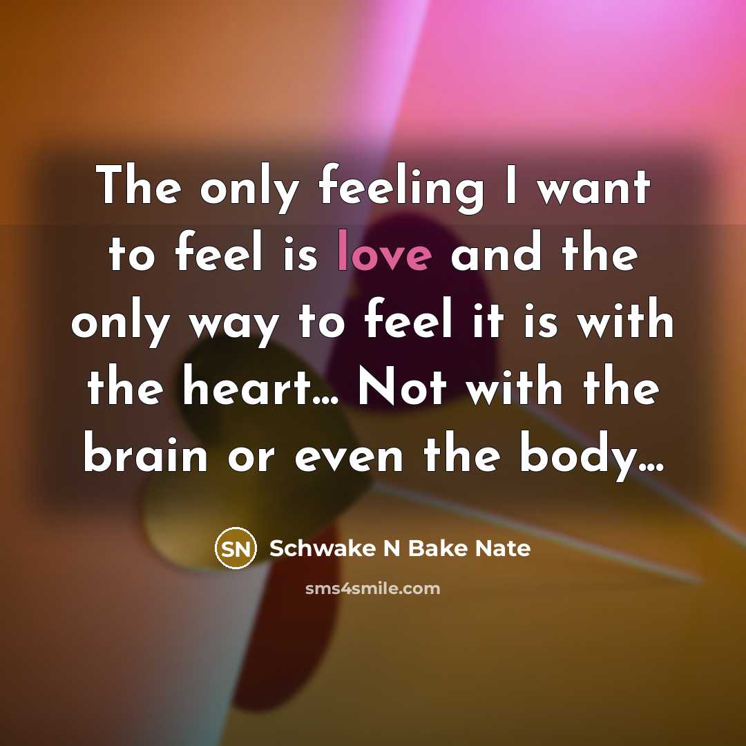 “The only feeling I want to feel is love and…” quote by Schwake N Bake Nate