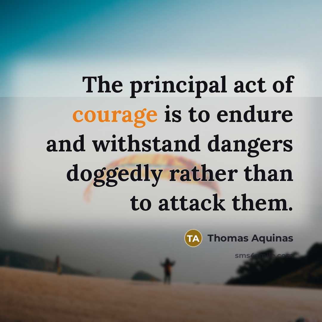 “The principal act of courage is to endure and withstand…” quote by Thomas Aquinas